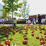 City of Revere Fall Festival