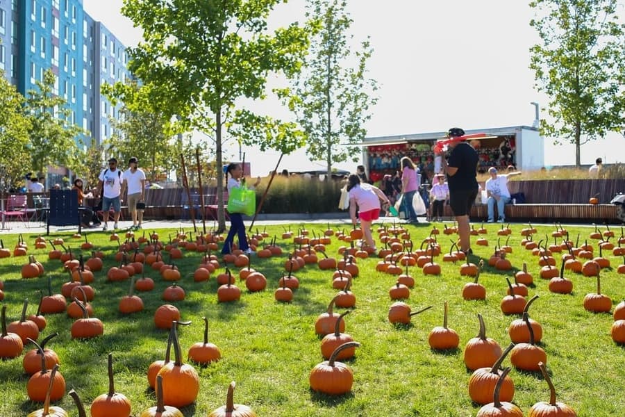 City of Revere Fall Festival